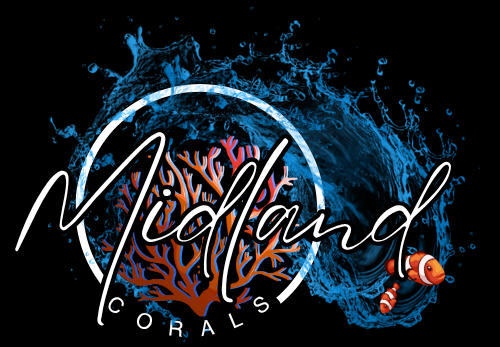 midlandcorals.co.uk